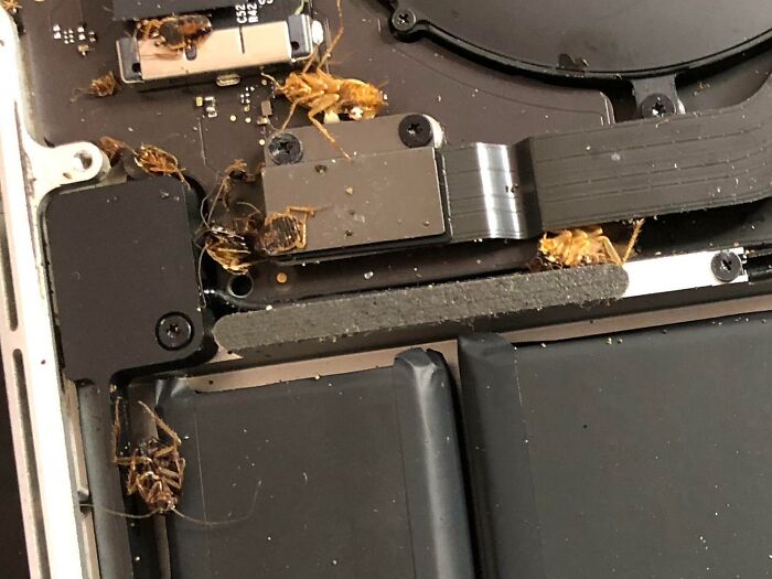 This Customer Came In Today And Said “My Computer Doesn’t Turn On”.. Maybe Because It’s Infested With Roaches?!