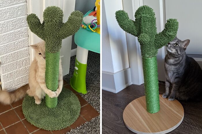 Feline Fiesta: This Cactus Scratcher Brings The Desert Fun Home!