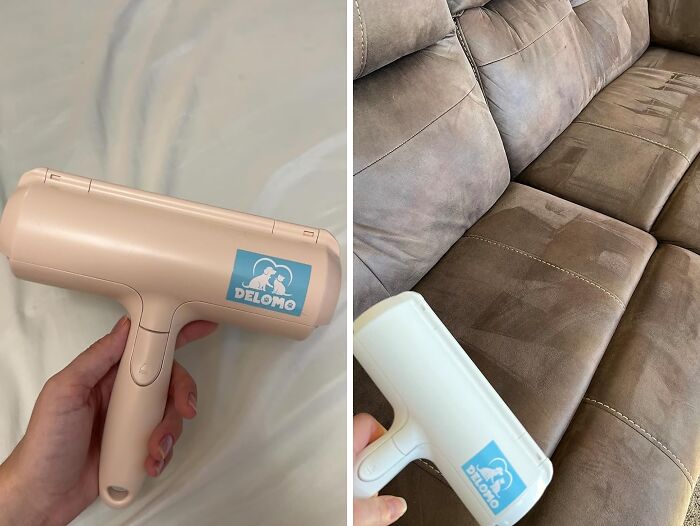  Effortlessly Remove Pet Hair From Furniture And Clothing With A Pet Hair Remover