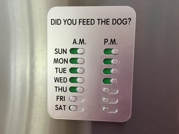  Stay On Top Of Your Pet's Feeding Schedule With A Dog Feeding Reminder