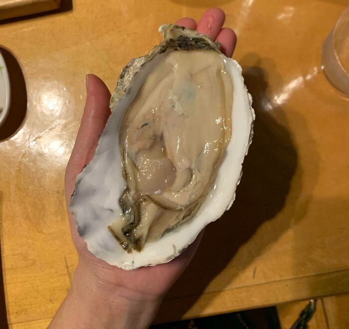 This Oyster I Was Served Today
