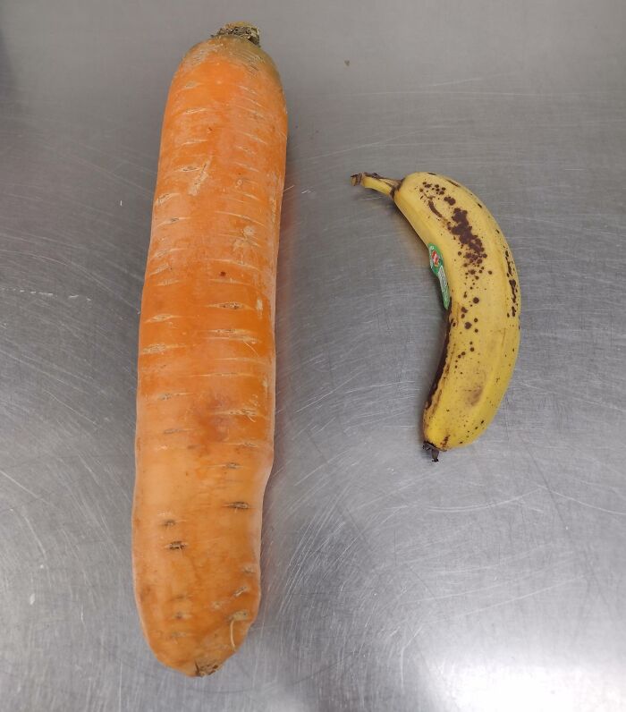 This Carrot That I Took From Work