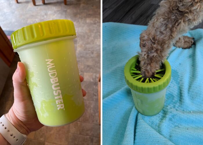 Keep Your Home Clean With The MudBuster Portable Dog Paw Cleaner