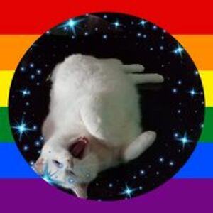 libby_reeves_4105 avatar