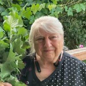 catonlineconcepts avatar