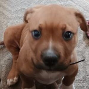 kathiemccann61 avatar