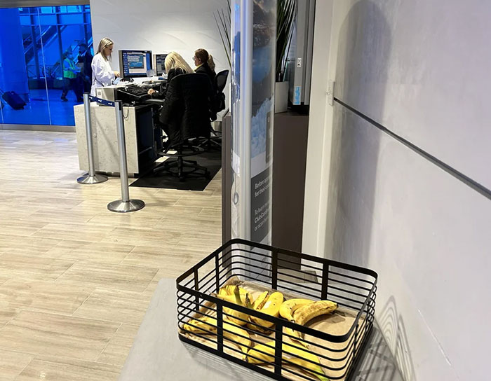 After Delta Agent Scolds Passenger For Taking A Banana, Others Launch Hilarious Mass Protest After Delta Agent Scolds Passenger For Taking A Banana, Others Launch Hilarious Mass Protest