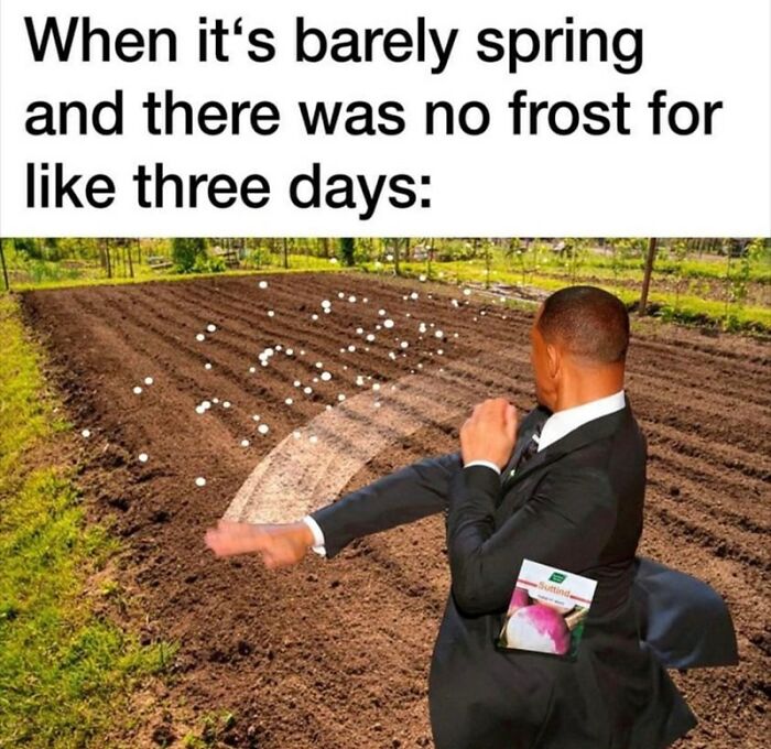 Springtime-Memes-Funny