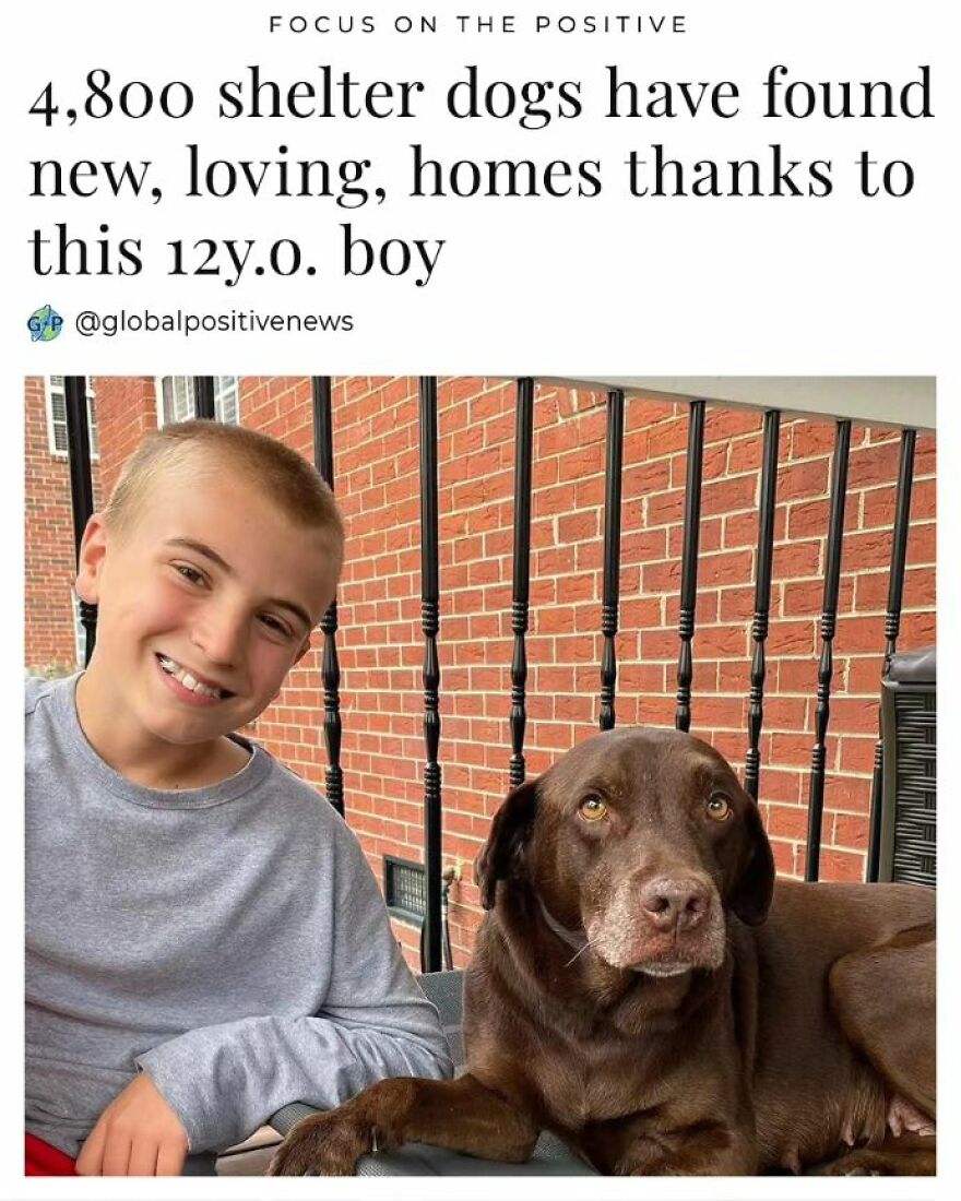 Roman Mcconn, 12, Started Serving Animal Shelters At The Age Of 4