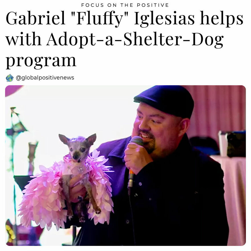 Comedian Gabriel "Fluffy" Iglesias Has Partnered With Improv Comedy Clubs And The Aspca To Sell Limited-Edition T-Shirts For The Next 12 Months