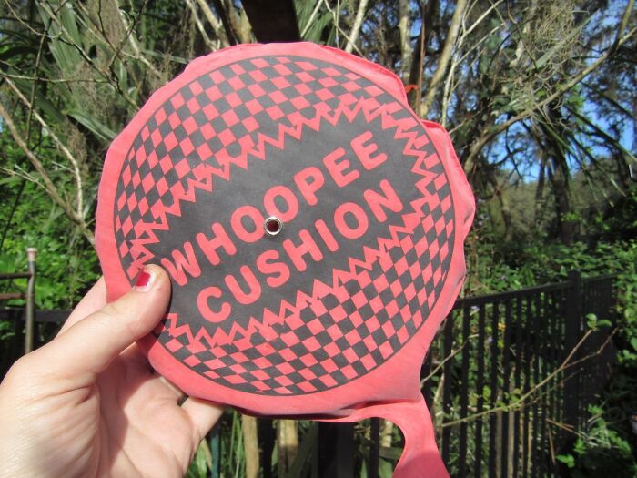 Grab The Self-Inflated Whoopee Cushion Set And Break The 'Wind' In Style! Cushion The Commotion, Anyone?