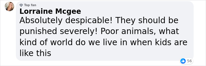 Boy, 9, Put In Care Program After Strangling 11 Animals At Petting Zoo Boy, 9, Put In Care Program After Strangling 11 Animals At Petting Zoo