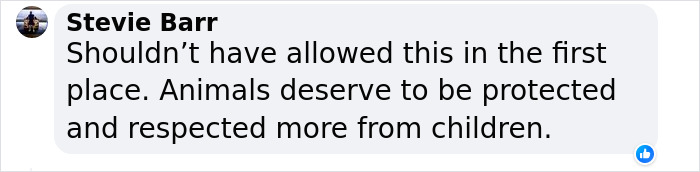 Boy, 9, Put In Care Program After Strangling 11 Animals At Petting Zoo Boy, 9, Put In Care Program After Strangling 11 Animals At Petting Zoo