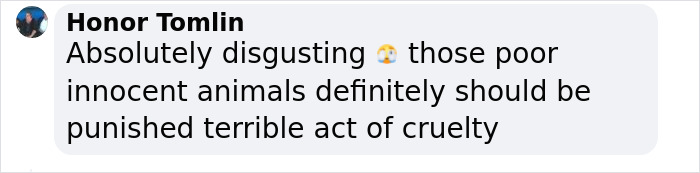 Boy, 9, Put In Care Program After Strangling 11 Animals At Petting Zoo Boy, 9, Put In Care Program After Strangling 11 Animals At Petting Zoo