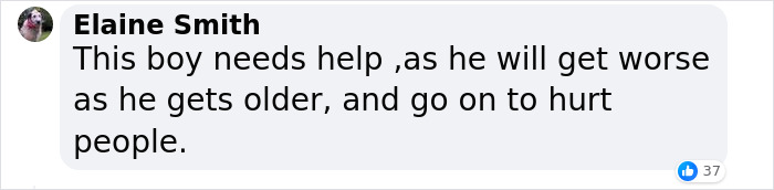 Boy, 9, Put In Care Program After Strangling 11 Animals At Petting Zoo Boy, 9, Put In Care Program After Strangling 11 Animals At Petting Zoo