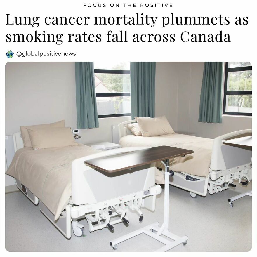 A Recent Report From The Canadian Cancer Society (Ccs) Shows That Lung Cancer Mortality Has Declined Substantially In Canada