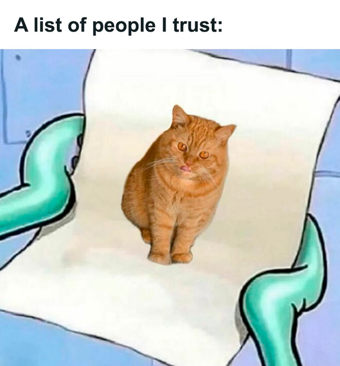 When You Only Trust One Purrson
