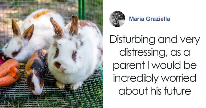 Boy, 9, Put In Care Program After Strangling 11 Animals At Petting Zoo