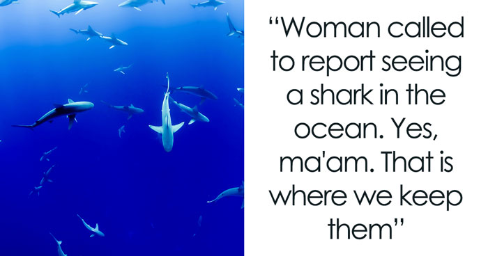 911 Calls During Which Dispatchers Could Barely Stop Themselves From Laughing (35 Moments)