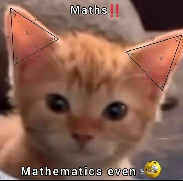 The Math Is Mathing!