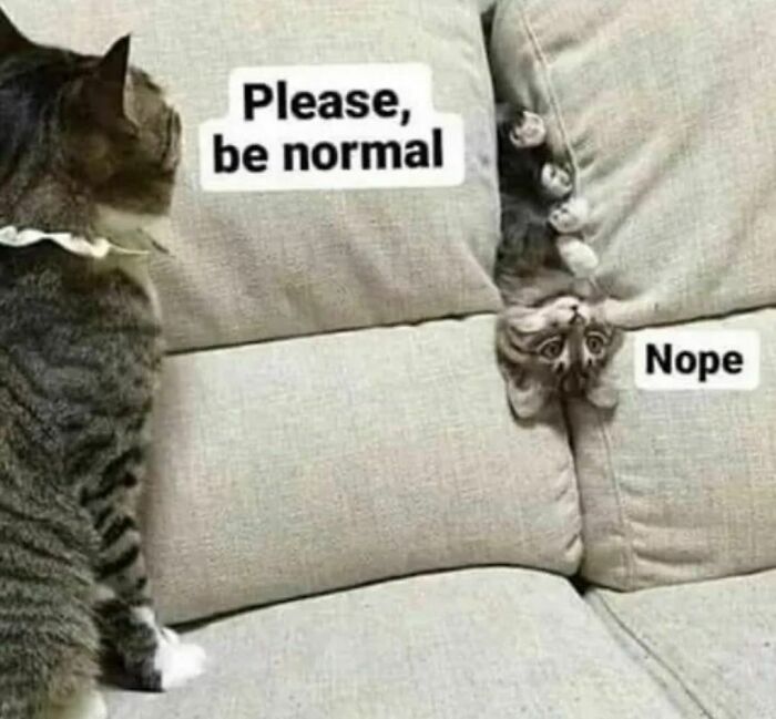 What Is Normal, Anyway???