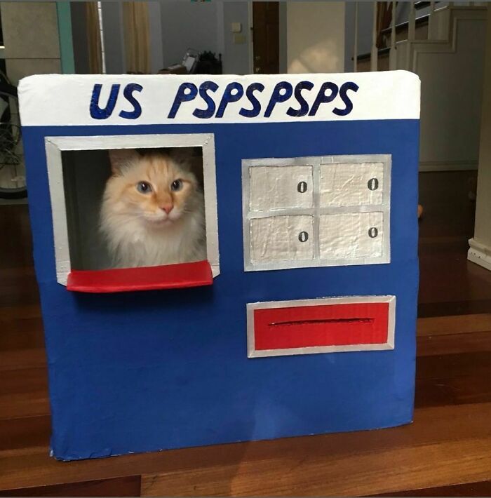 Turns Out Pspsps Is Short For Postal Service Postal Service Postal Service