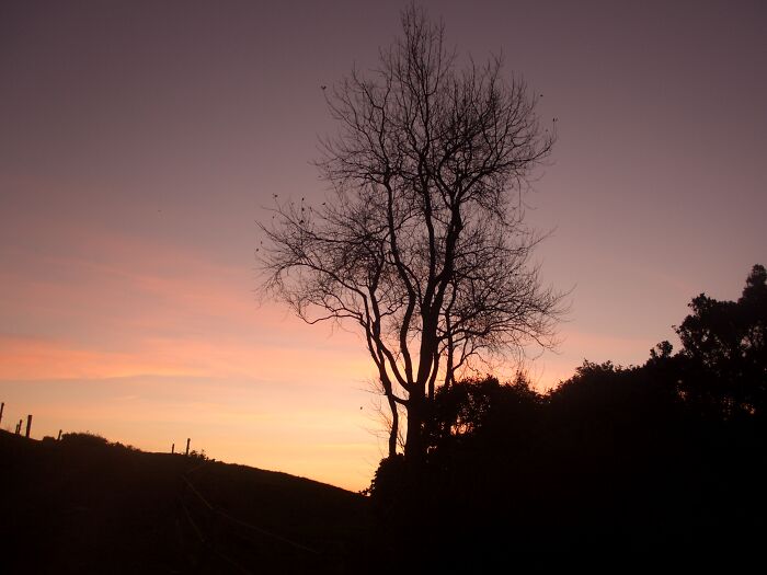 One Of My Faves, A Sunset In Rural Waikato