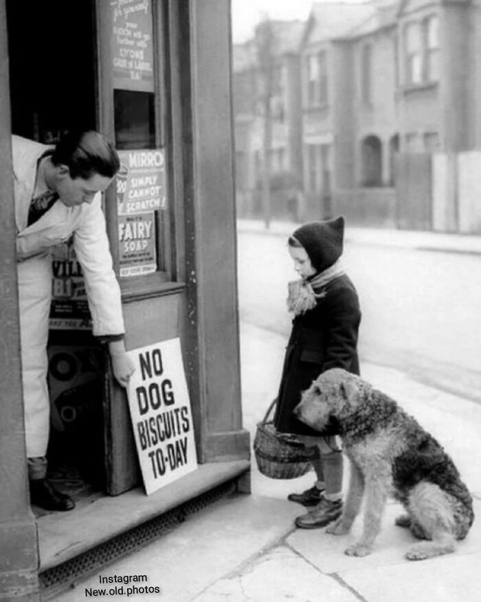“ No Dog Biscuits Today ”, London , 1939