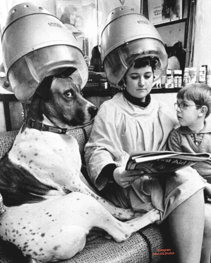 Hairdresser's Hot Dog , Ca. 1960 Photo By John Drysdale