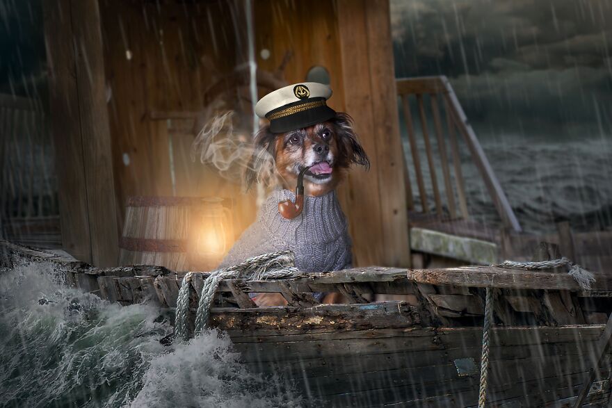 I Photographed 50 Dogs And Photoshopped Them Into Their Alter Egos. Here Are 15 Of My Favorites.