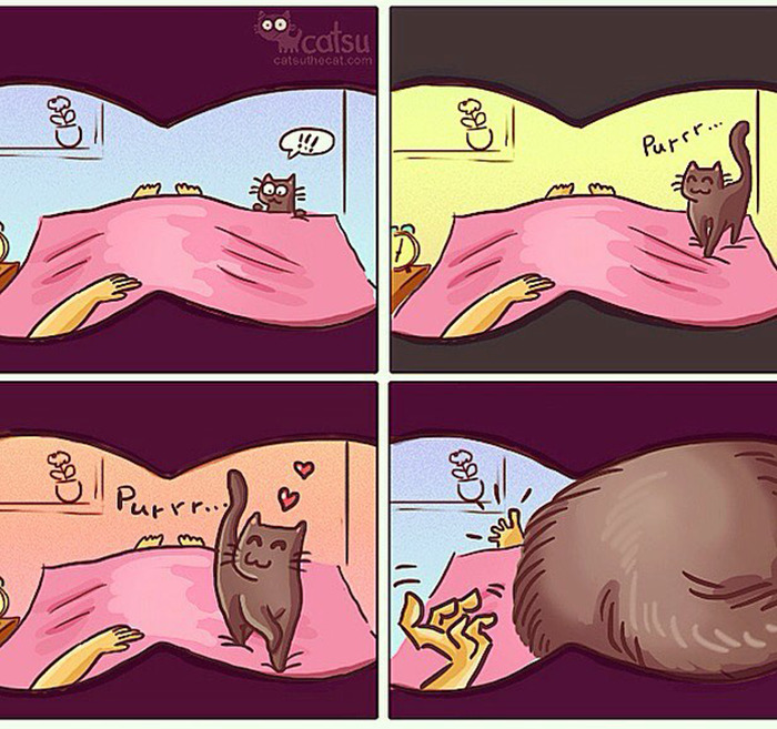 "Catsuthecat": Where Mustaches And Witty Comics Will Make Your Day