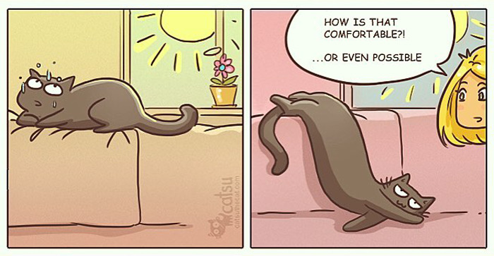 "Catsuthecat": Where Mustaches And Witty Comics Will Make Your Day