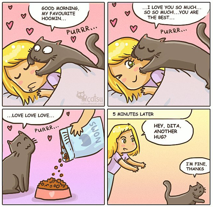 "Catsuthecat": Where Mustaches And Witty Comics Will Make Your Day