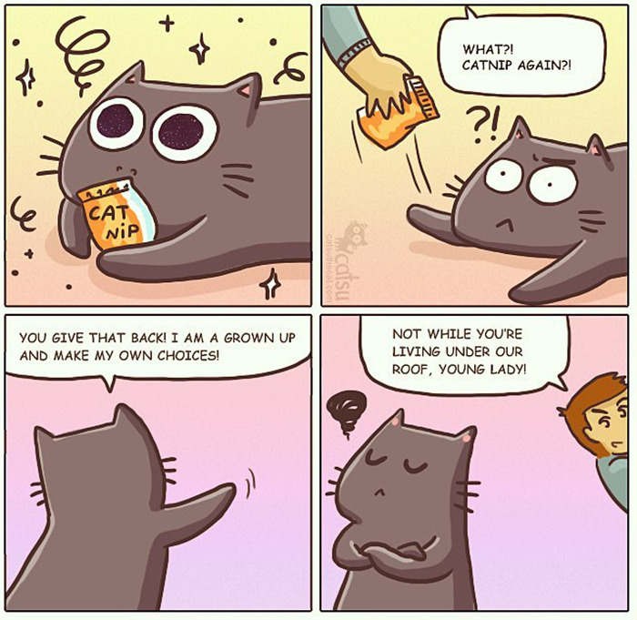 "Catsuthecat": Where Mustaches And Witty Comics Will Make Your Day