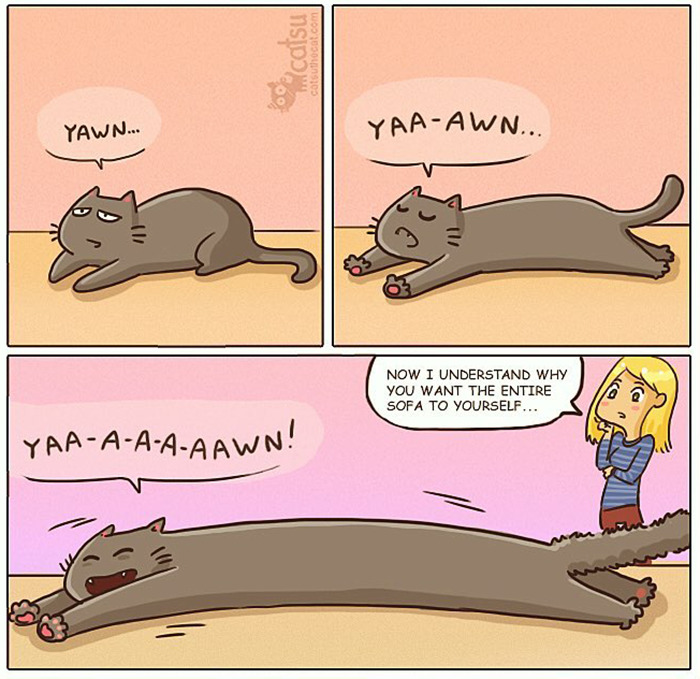 "Catsuthecat": Where Mustaches And Witty Comics Will Make Your Day