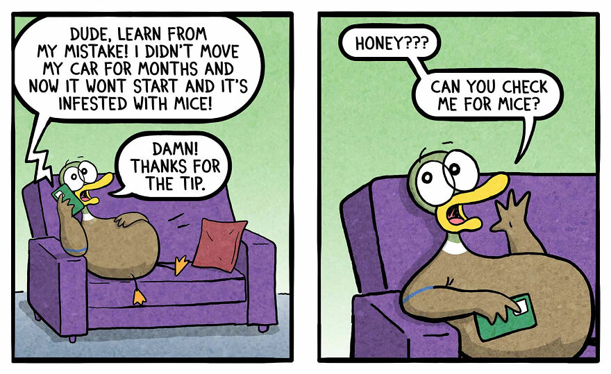 Duck Copes With Everyday Life And Kids One Cartoon At A Time (New Pics)