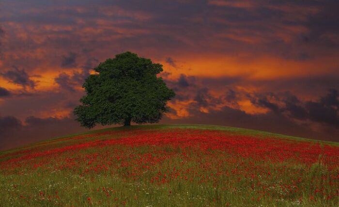 If You’re Feeling Blue, These 50 Pics Might Brighten Your Day