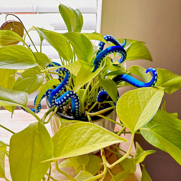 Enhance Your Plant Decor With This Sea Monster Tentacles House Plant Accessory !