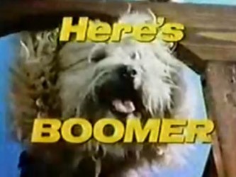 Here-s-Boomer-title-card.jpg