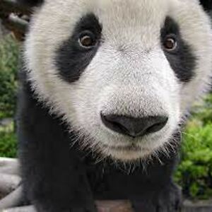 sturge-elise22 avatar