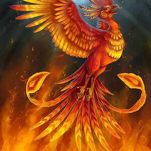 phoenixashes555 avatar