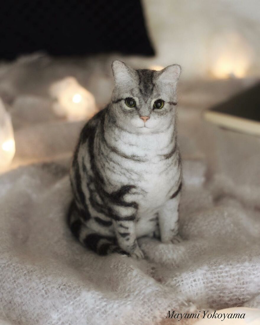 Japanese Artist Creates Cute, Realistic Cats With Felted Wool (Interview)