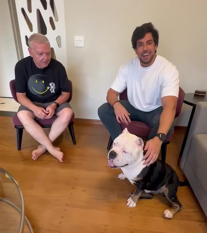 Remarkable Recovery Story Of A Resilient Dog That Was In Desperate Need Of Rescue Remarkable Recovery Story Of A Resilient Dog That Was In Desperate Need Of Rescue