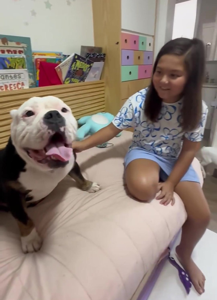 Remarkable Recovery Story Of A Resilient Dog That Was In Desperate Need Of Rescue Remarkable Recovery Story Of A Resilient Dog That Was In Desperate Need Of Rescue