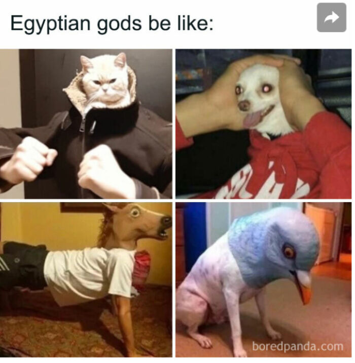 40 Memes I Have From Bored Panda That May Tickle Your Funny Bone. 40 Memes I Have From Bored Panda That May Tickle Your Funny Bone.