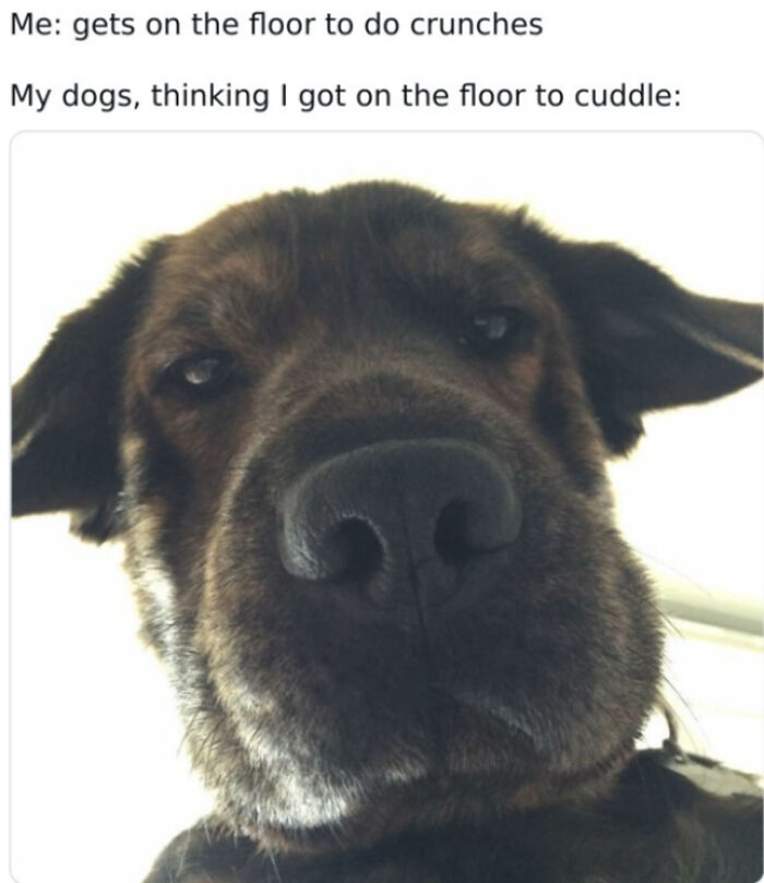 40 Memes I Have From Bored Panda That May Tickle Your Funny Bone. 40 Memes I Have From Bored Panda That May Tickle Your Funny Bone.