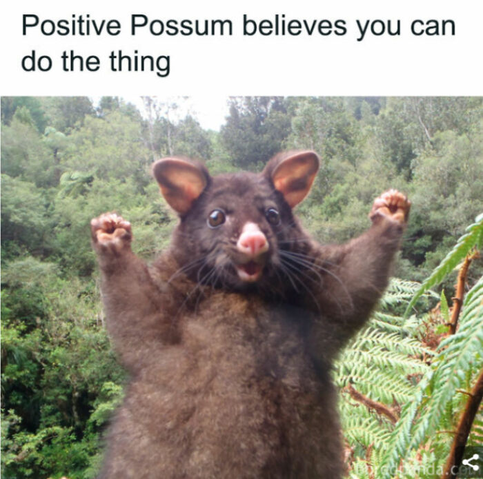 40 Memes I Have From Bored Panda That May Tickle Your Funny Bone. 40 Memes I Have From Bored Panda That May Tickle Your Funny Bone.