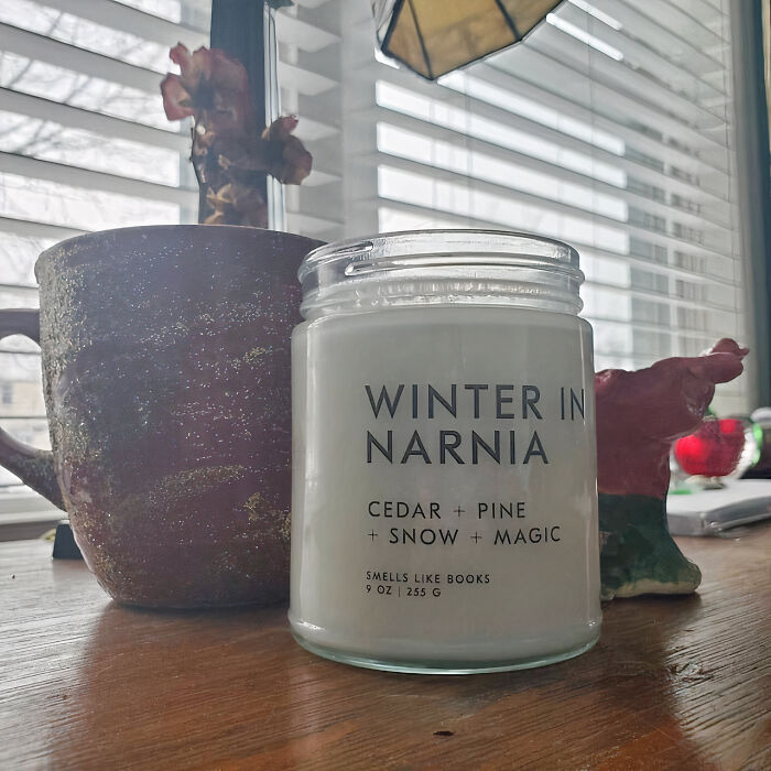 Experience The Enchantment Of Winter In Narnia With This Cozy Soy Candle - The Perfect Gift For A True Fan