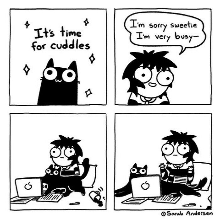 New Relatable Sarah Andersen Comics Will Surely Giggle You