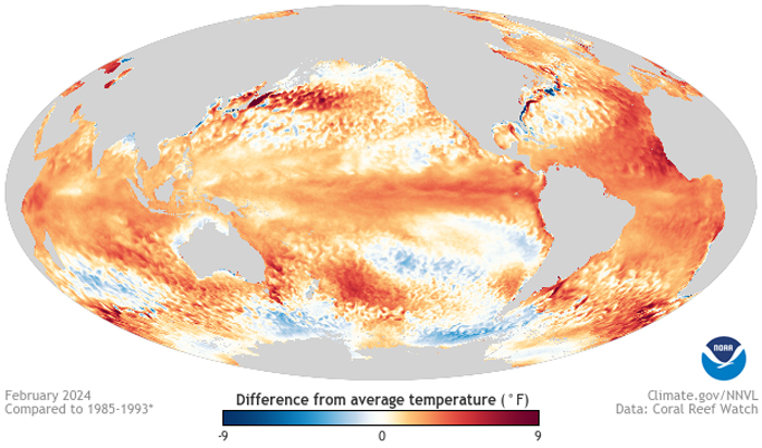 Huge Wave Caused By A Storm Attracted Surfers In Different Parts Of The World To Ride It Together Huge Wave Caused By A Storm Attracted Surfers In Different Parts Of The World To Ride It Together